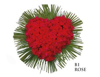 CUORE - B1